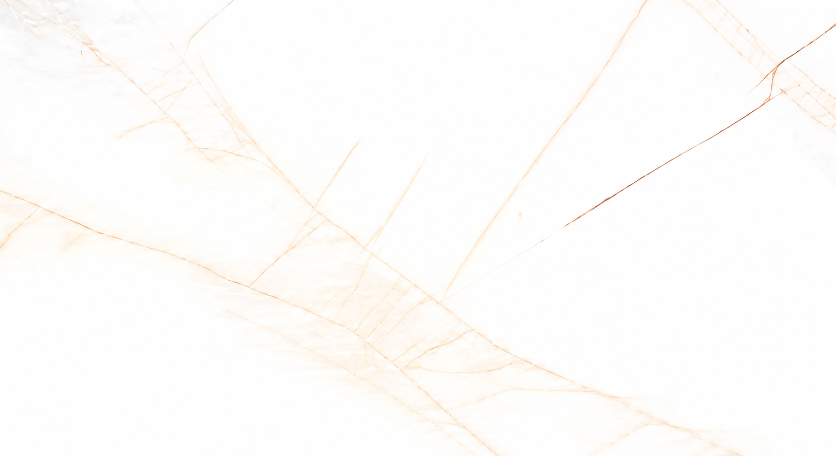 Golden Spider